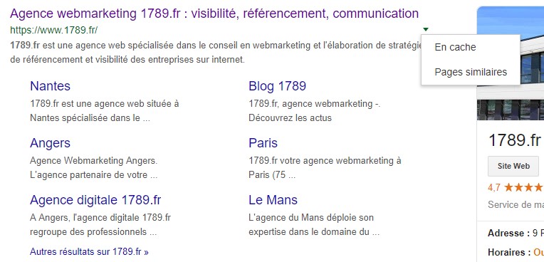 Capture d'écran du résultat Google de l'agence 1789.fr