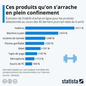 trafic web statista