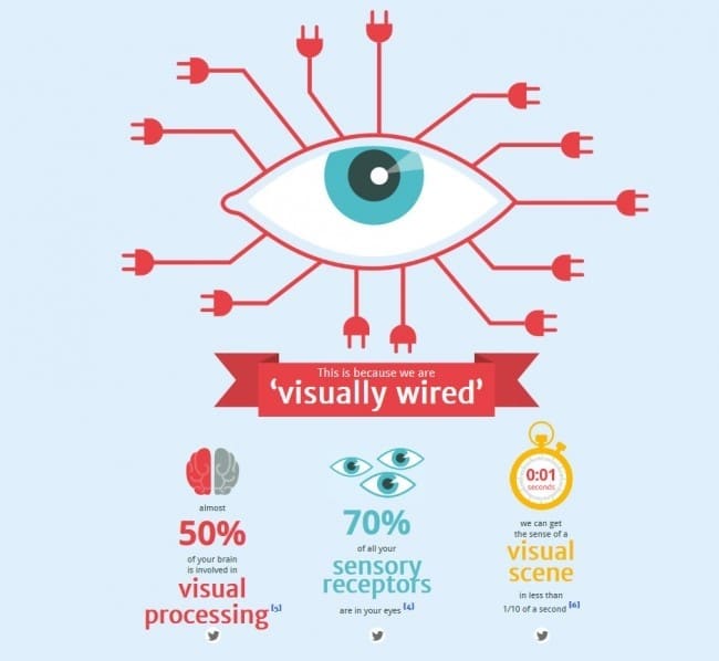 Extrait de l'infographie