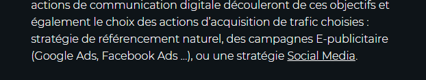 Capture d'écran d'un contenu avec ancre optimisée