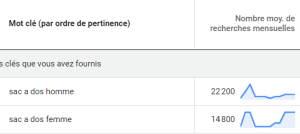 Exemple d'une recherche de mots-clés genrés sac à dos sur Keyword Planner