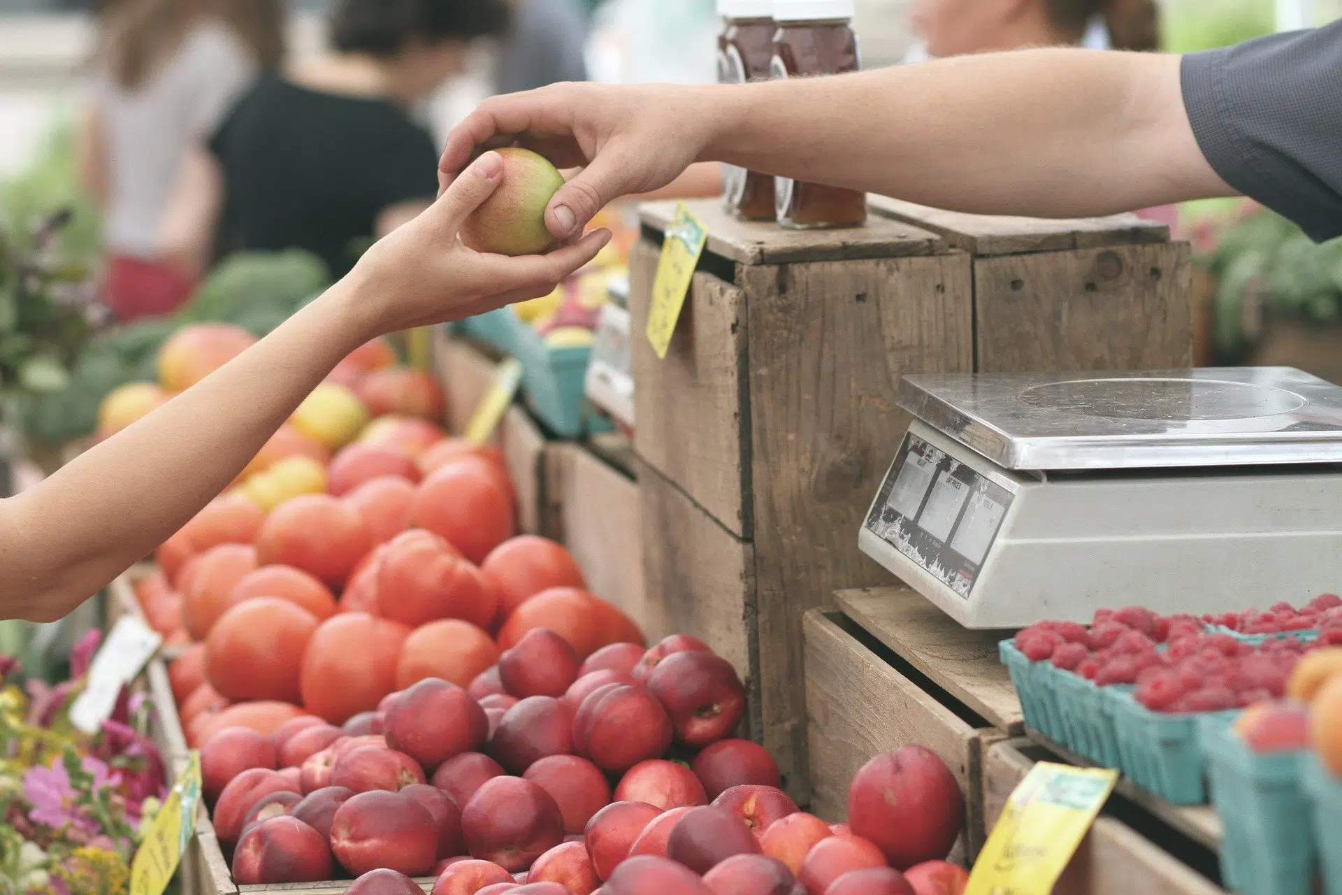 SEO local : la stratégie SEO des réseaux de franchise et groupements