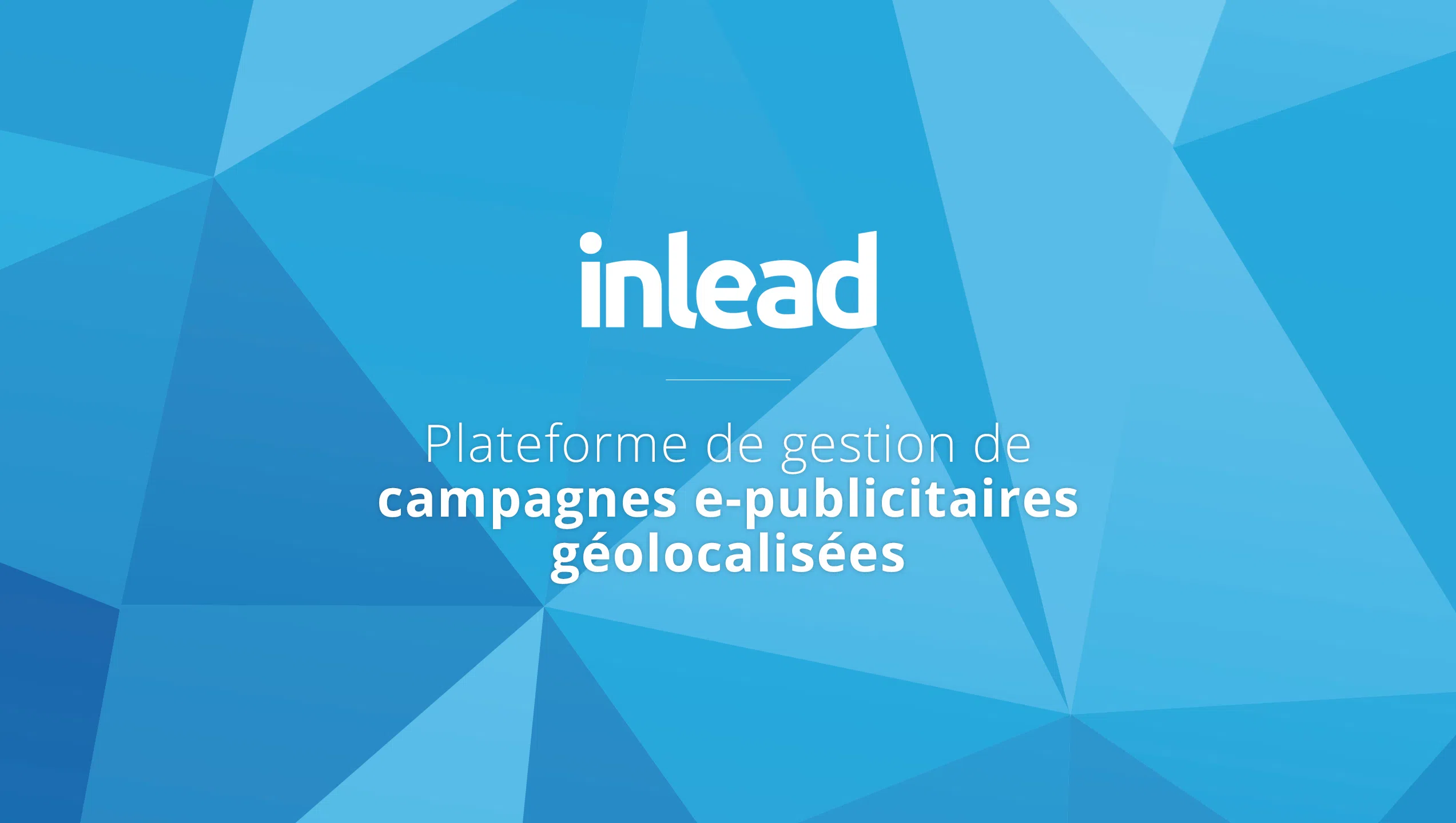 Inlead recherche Sales Manager