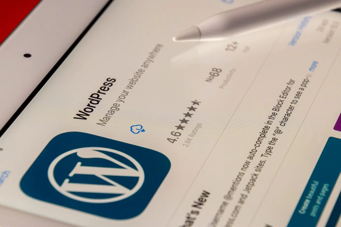 comment faire le SEO sur WordPress